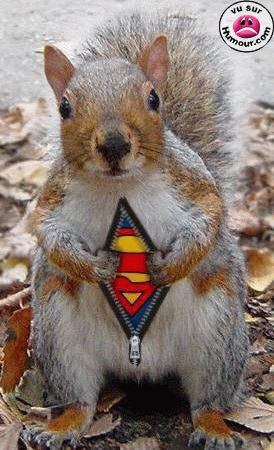 super &eacute;cureil