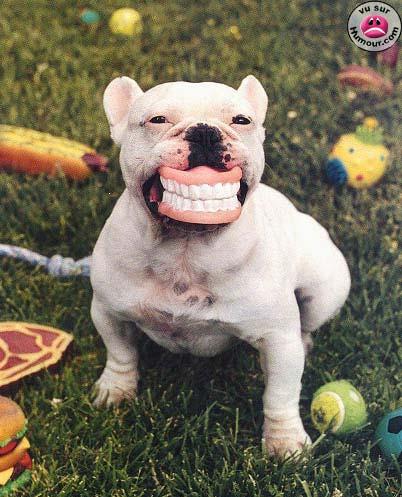 souriser