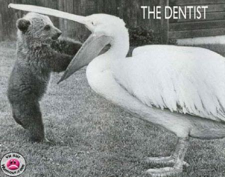 dentiste